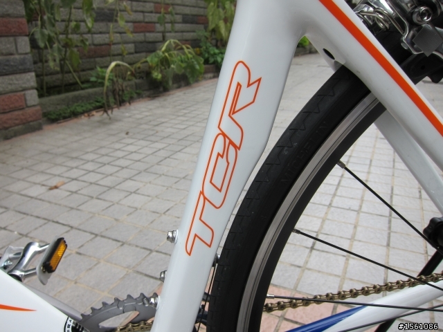 TCR COMPOSITE 1 小開箱兼騎乘感想