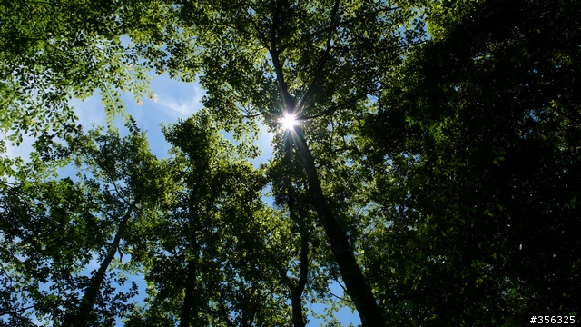 [遊記] 清石林道/霞喀羅古道夏日青爽騎