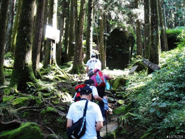 (照片)20100703奮起湖大凍山登山健行
