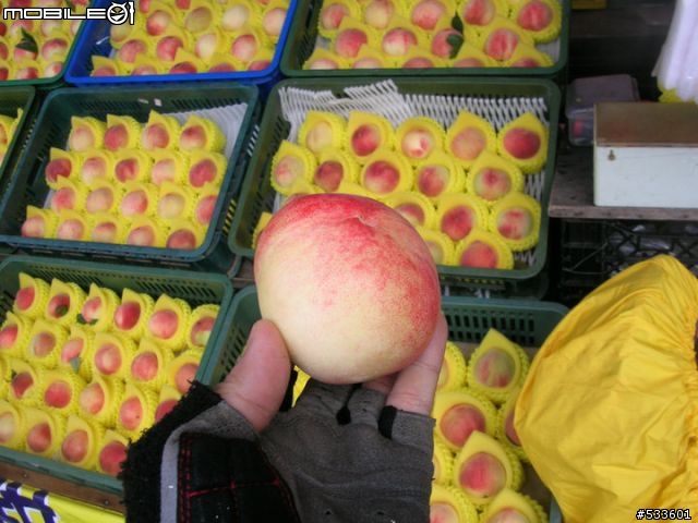 2010/07/25 穿山甲征戰武嶺（要命的缺氧行程）