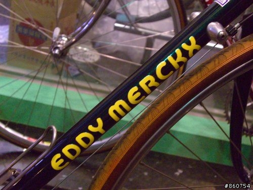 eddy merckxe鋼管車