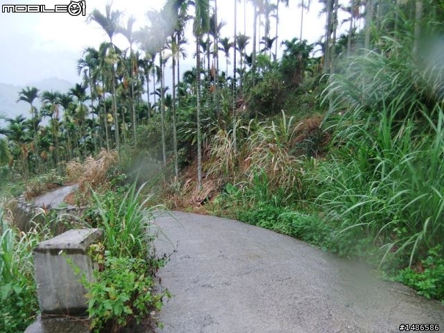 20100725嘉義阿里山公路公田路線探勘..算是成功啦!!