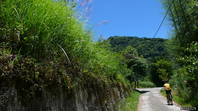 [遊記] 清石林道/霞喀羅古道夏日青爽騎