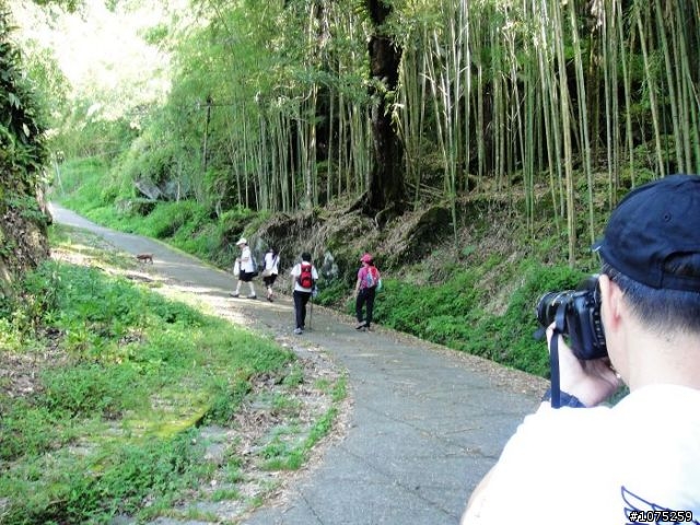 (照片)20100703奮起湖大凍山登山健行
