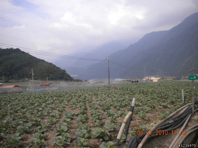 北橫+一豎武嶺兩日遊