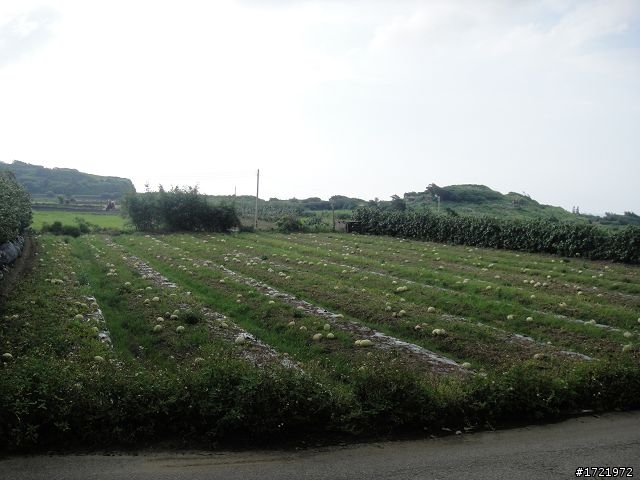女兒與我首次環島十天九夜遊2010 6/28~7/7