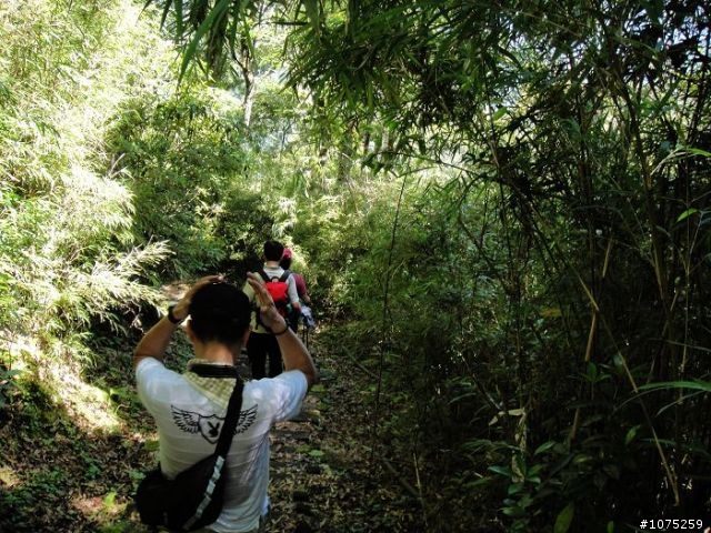 (照片)20100703奮起湖大凍山登山健行