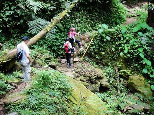 (照片)20100703奮起湖大凍山登山健行