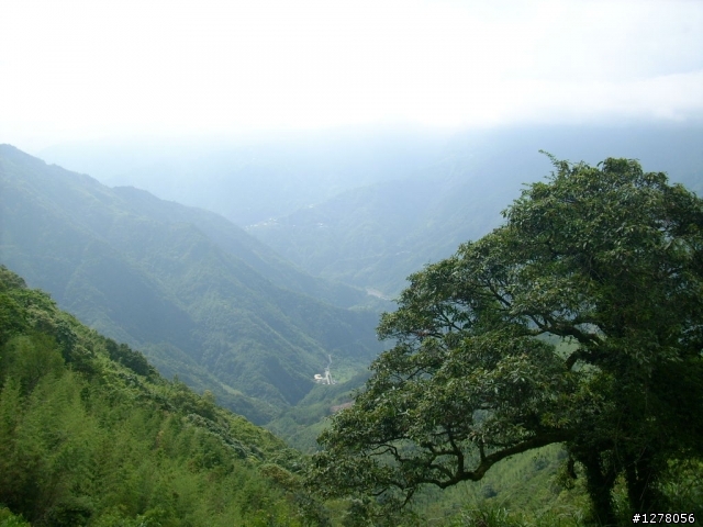 2010.07.17   遲來的大滿貫〈圖多〉