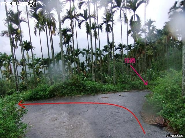 20100725嘉義阿里山公路公田路線探勘..算是成功啦!!