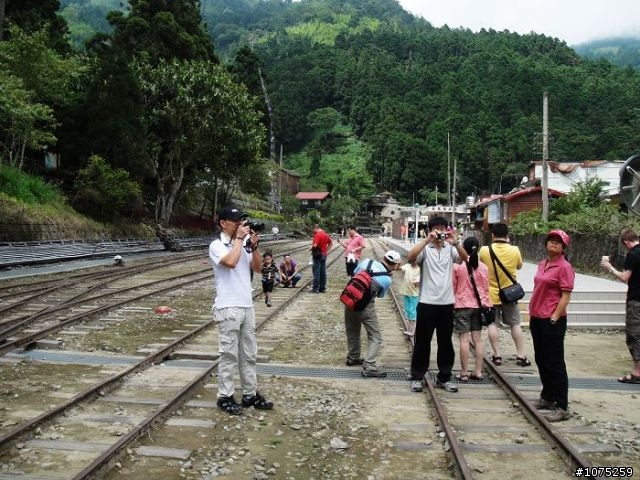 (照片)20100703奮起湖大凍山登山健行
