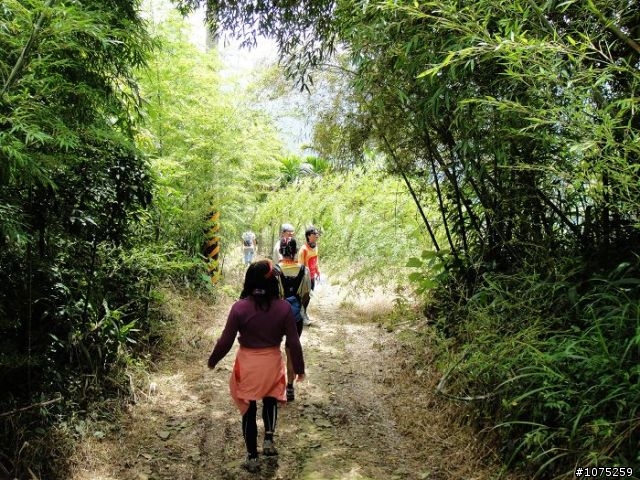 (照片)20100731後棟山賞景泡茶行