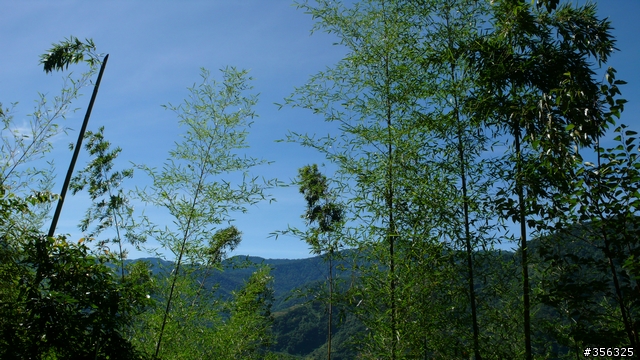 [遊記] 清石林道/霞喀羅古道夏日青爽騎