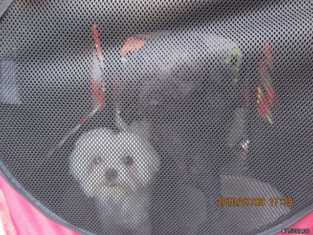 獸力車遊台灣>>環島全紀錄