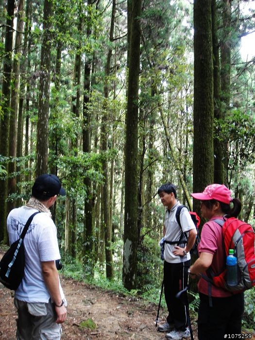 (照片)20100703奮起湖大凍山登山健行