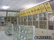 tomtom內的照片??