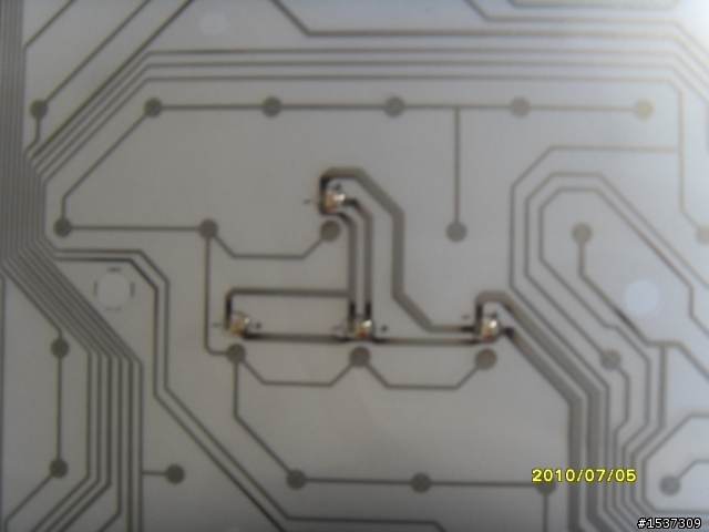 心血來潮~~~黑腹狼蛛  拆了