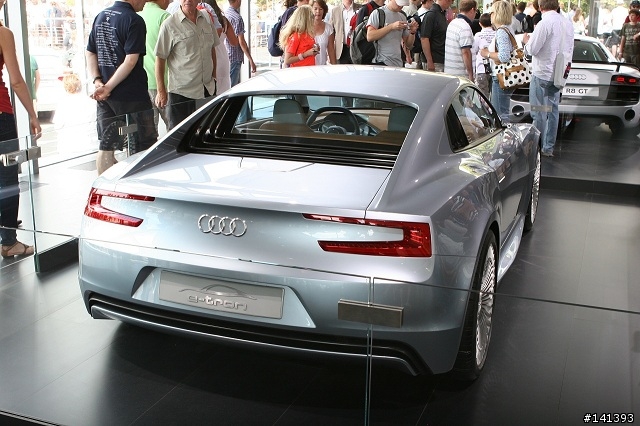 力曼賽車就從眼前慢慢的回Pit & Audi E-tron靜態展示