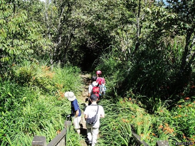 (照片)20100703奮起湖大凍山登山健行