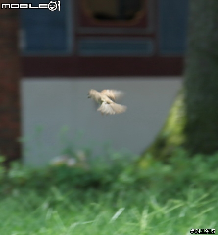 7/29(四)林家花園