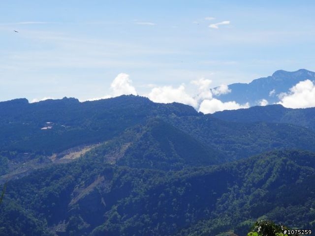 (照片)20100703奮起湖大凍山登山健行