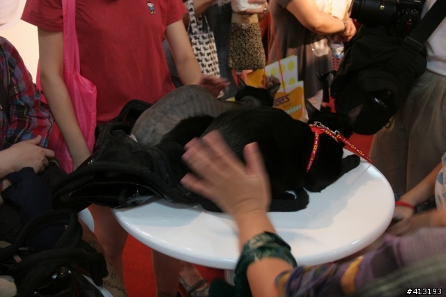 kiki&LaLa逛2010台北寵物用品展
