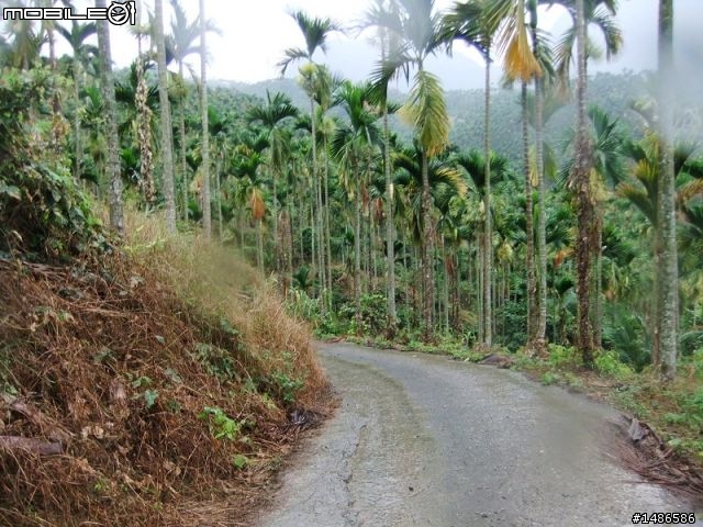 20100725嘉義阿里山公路公田路線探勘..算是成功啦!!
