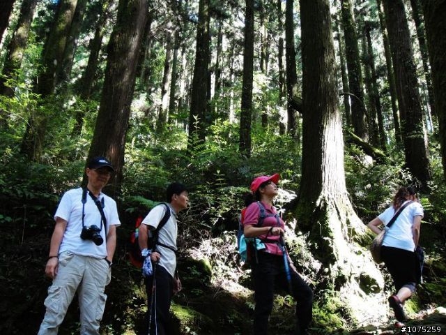 (照片)20100703奮起湖大凍山登山健行