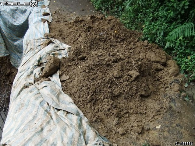 20100725嘉義阿里山公路公田路線探勘..算是成功啦!!