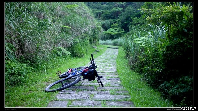 終於看到台灣的右肩：桃源谷步道越嶺 -草嶺古道