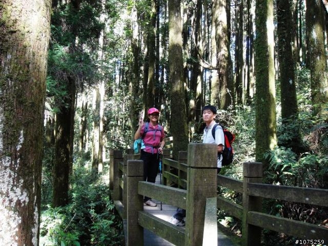 (照片)20100703奮起湖大凍山登山健行