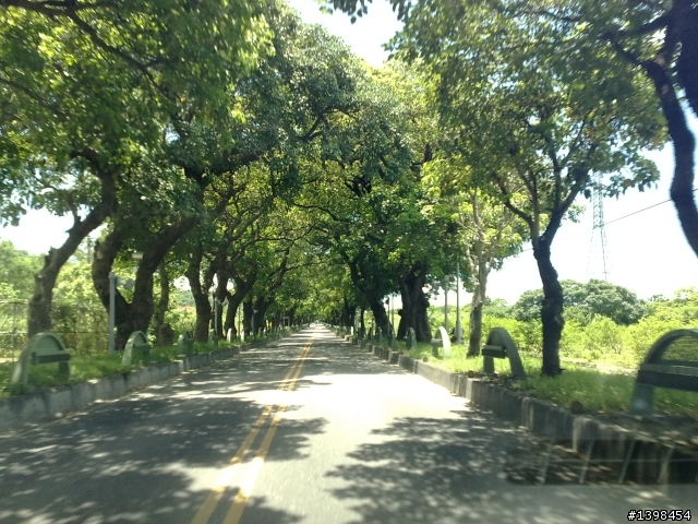 ［後勤日記］6月底 東部，池上~台東