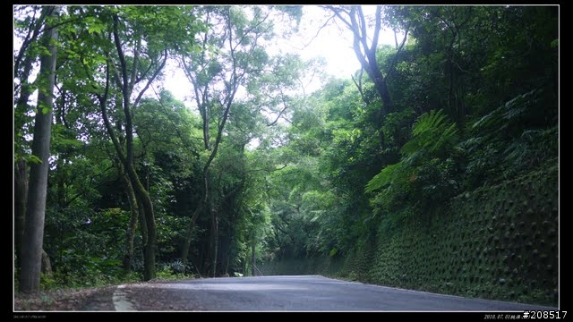 終於看到台灣的右肩：桃源谷步道越嶺 -草嶺古道