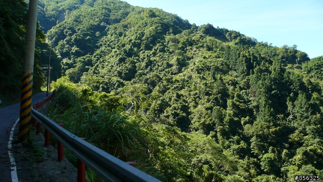 [遊記] 清石林道/霞喀羅古道夏日青爽騎