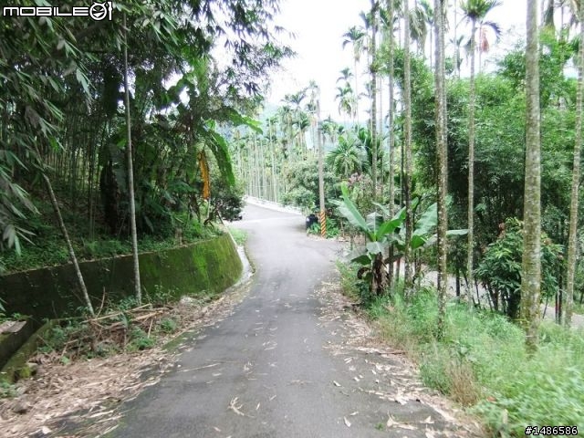 20100725嘉義阿里山公路公田路線探勘..算是成功啦!!