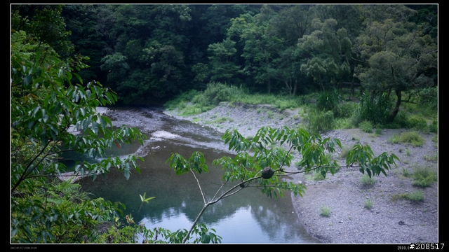 炎炎盛夏，一整個歡樂桶后戲水消暑行