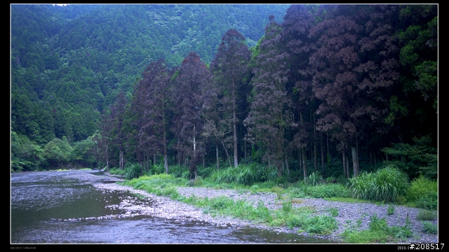 炎炎盛夏，一整個歡樂桶后戲水消暑行