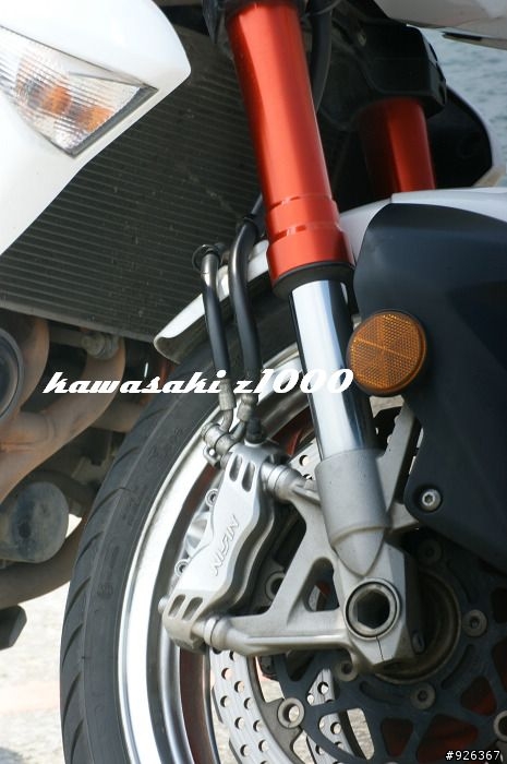 『溫馨分享』與家人分享你的最愛，Z1000雙出AKPROVIC