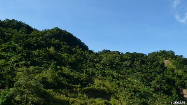 [遊記] 清石林道/霞喀羅古道夏日青爽騎