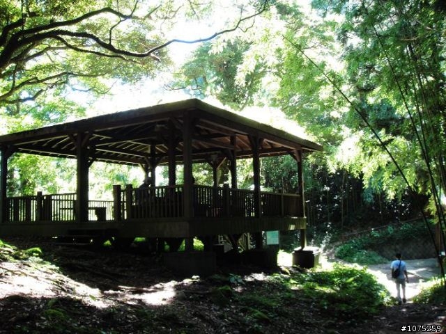 (照片)20100703奮起湖大凍山登山健行