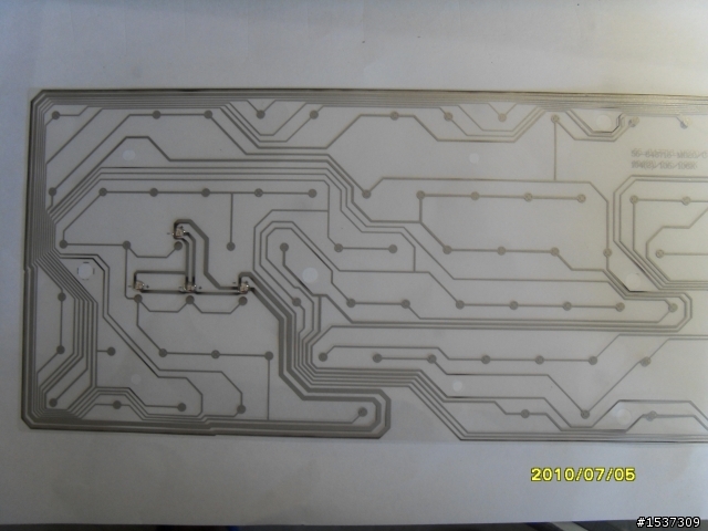 心血來潮~~~黑腹狼蛛  拆了