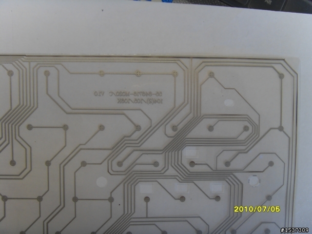 心血來潮~~~黑腹狼蛛  拆了