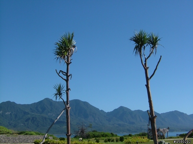 大激激與我環島去~8天逆時針海岸線~加花蓮太魯閣~武嶺