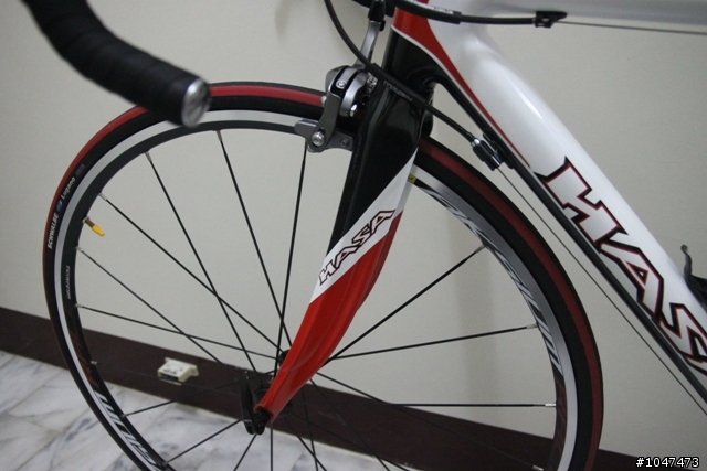 【分享】HASA 2011年式 R-1碳纖維公路車