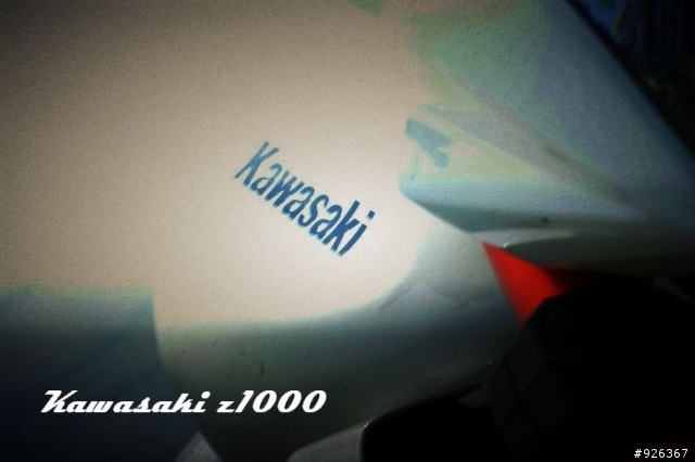 『溫馨分享』與家人分享你的最愛，Z1000雙出AKPROVIC