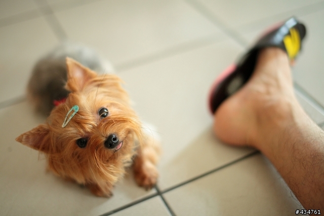 Sigma 50mm 1.4 EX DG   開箱 X 心得分享。