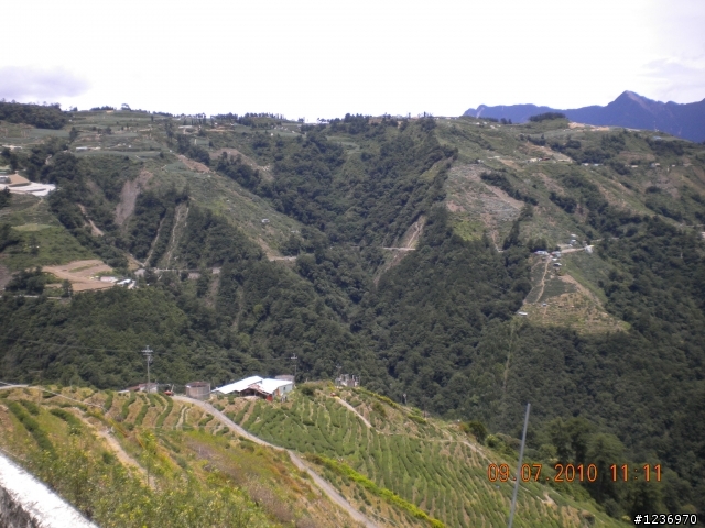 北橫+一豎武嶺兩日遊
