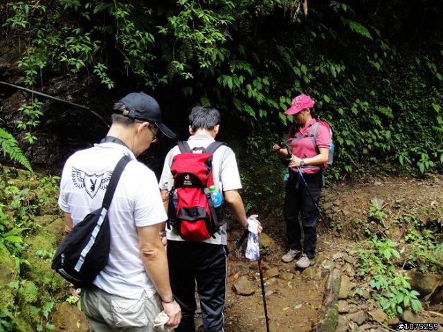 (照片)20100703奮起湖大凍山登山健行