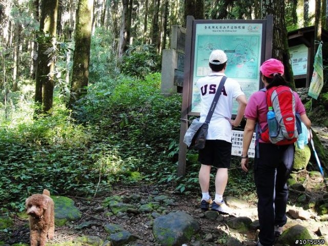 (照片)20100703奮起湖大凍山登山健行