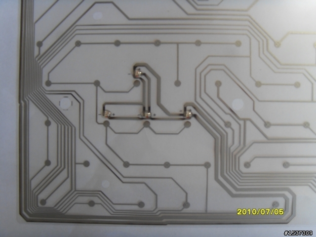 心血來潮~~~黑腹狼蛛  拆了